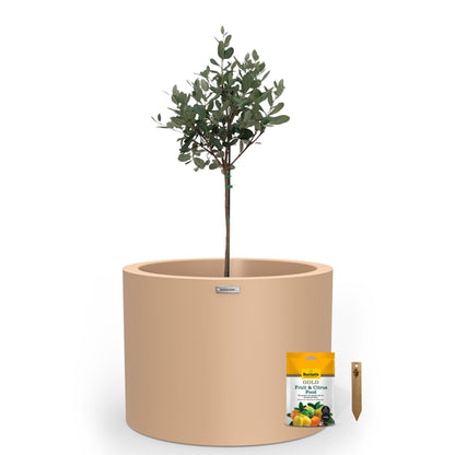 Cylindrus 500 Citrus & Fruit Tree Starter Pack