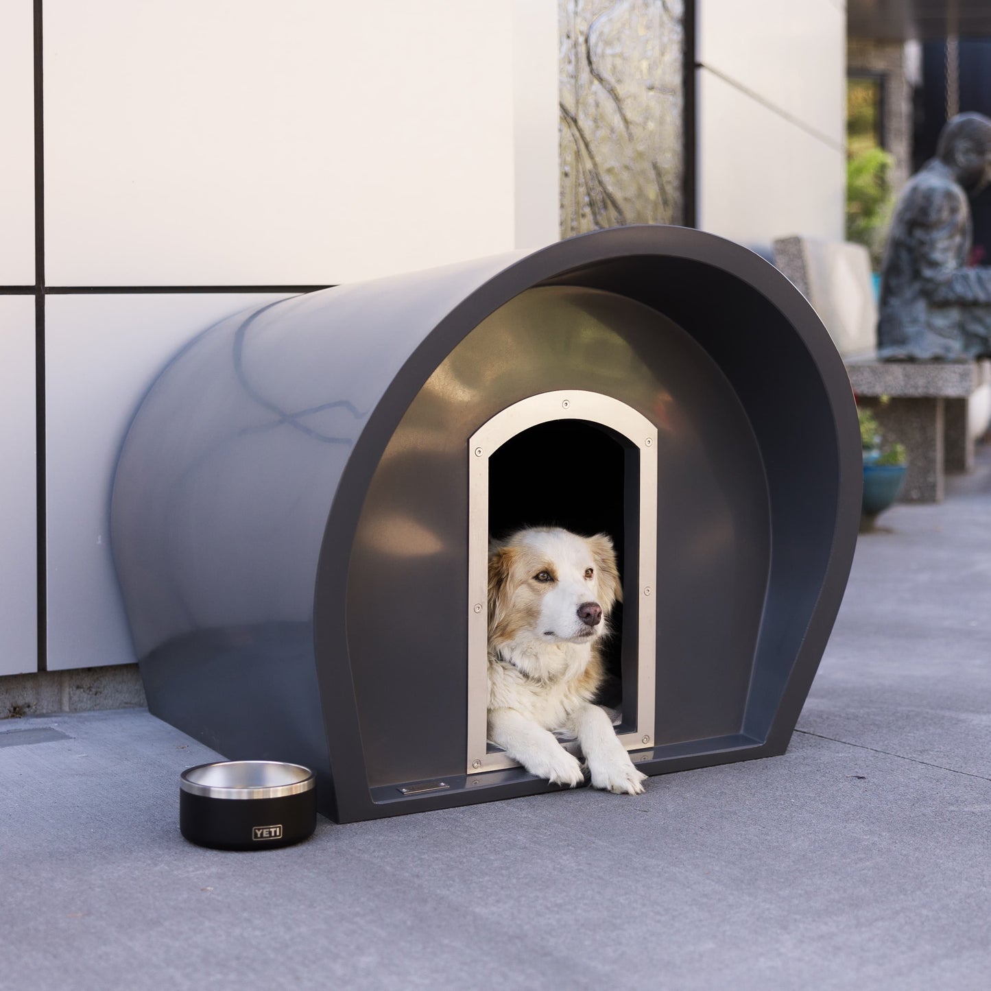 Medium Dog Manor + Chew Guard