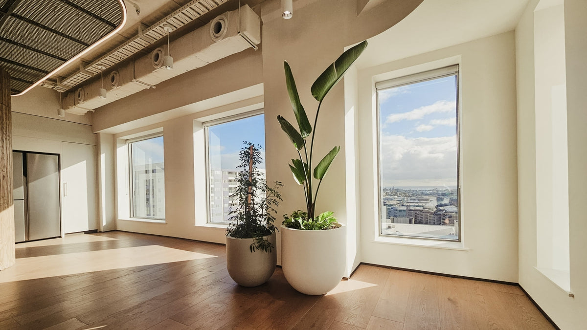 Indoor pots in a boho style room filled with natural light. 