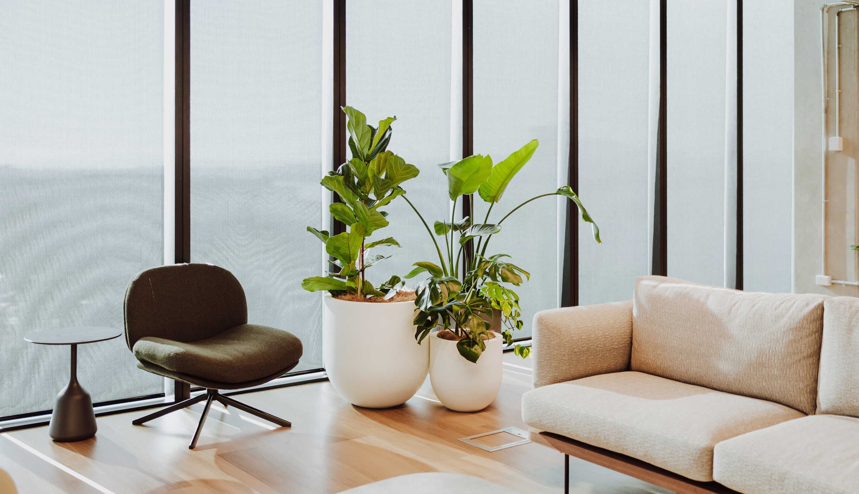 Modern living room with a beige sofa, brown chair, and potted plants.
