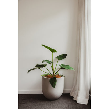 Lisbon 400 Planter. 40cm W x 40cm H.