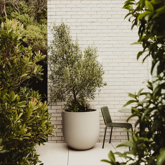 Lisbon 750 Planter. 75cm W x 75cm H.