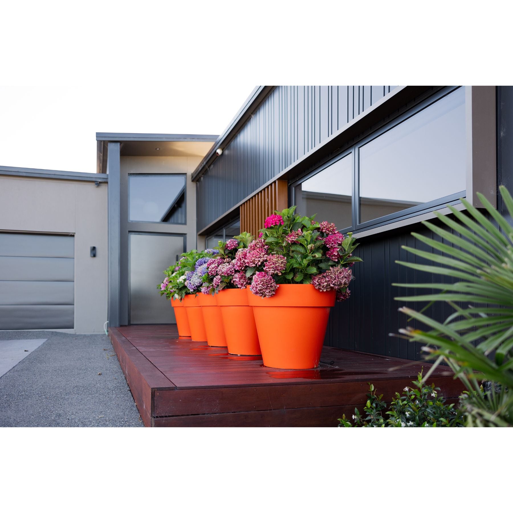 A cluster of five orange pots sitting on a deck. The pots were made by Modscene NZ.