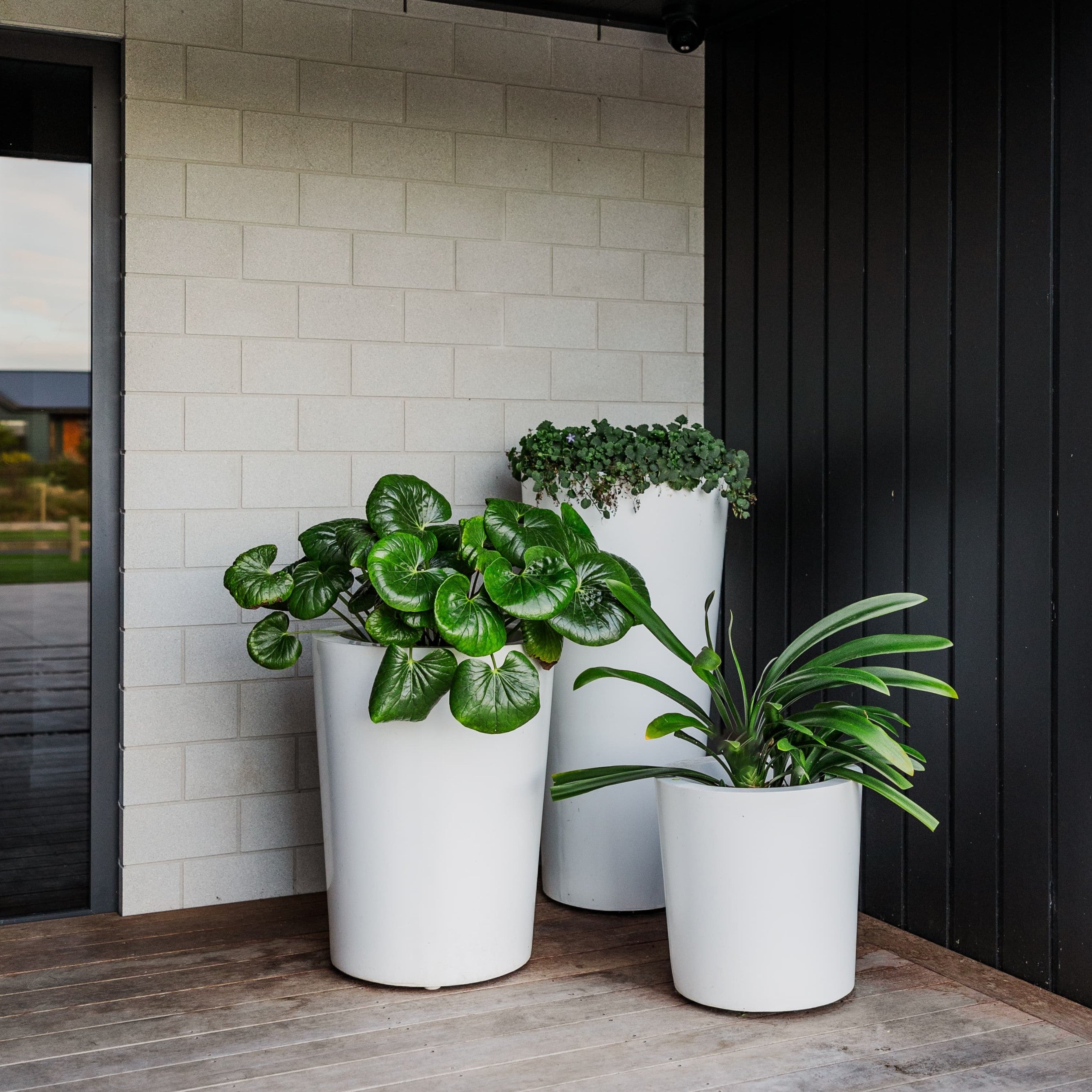 Stunning white planter pot cluster at a house entrance.
