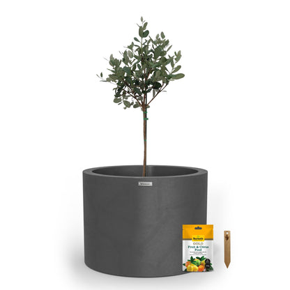 A large grey planter pot used to plant fruit trees. 