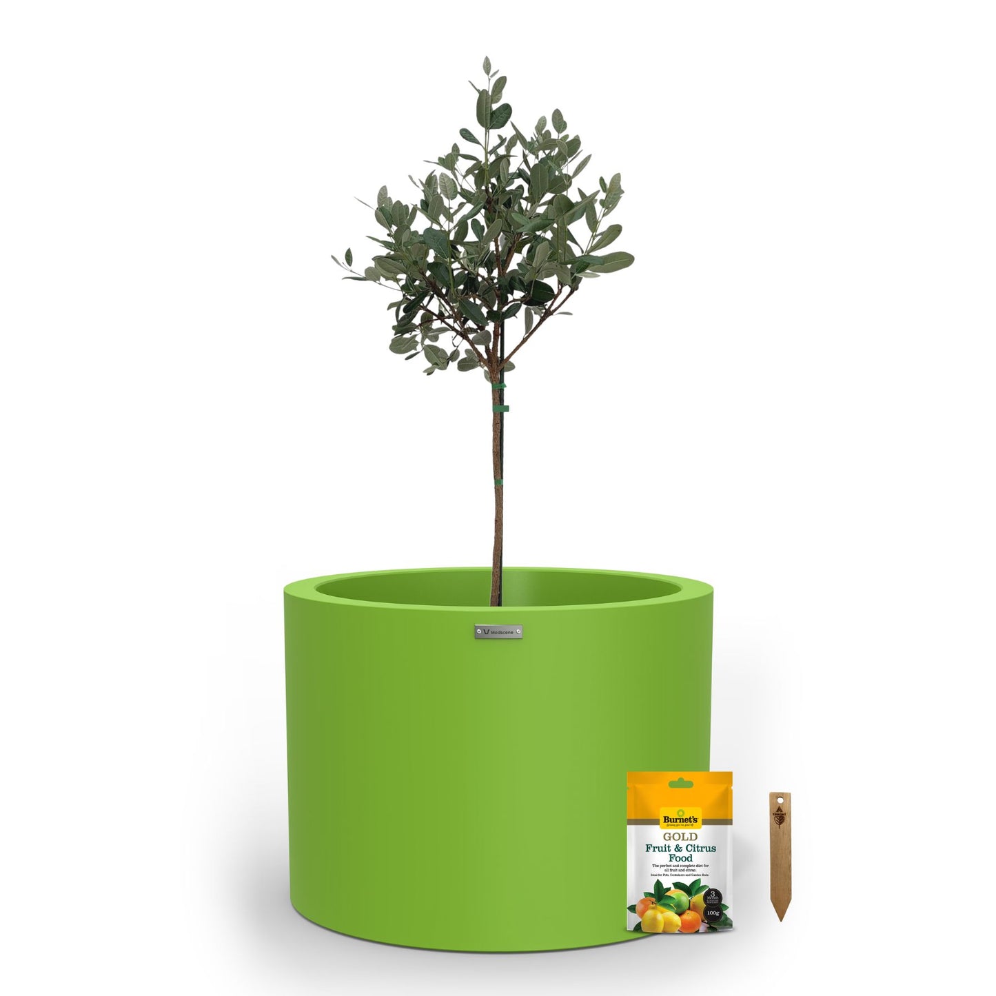 A large lime green planter pot used to plant fruit trees. 