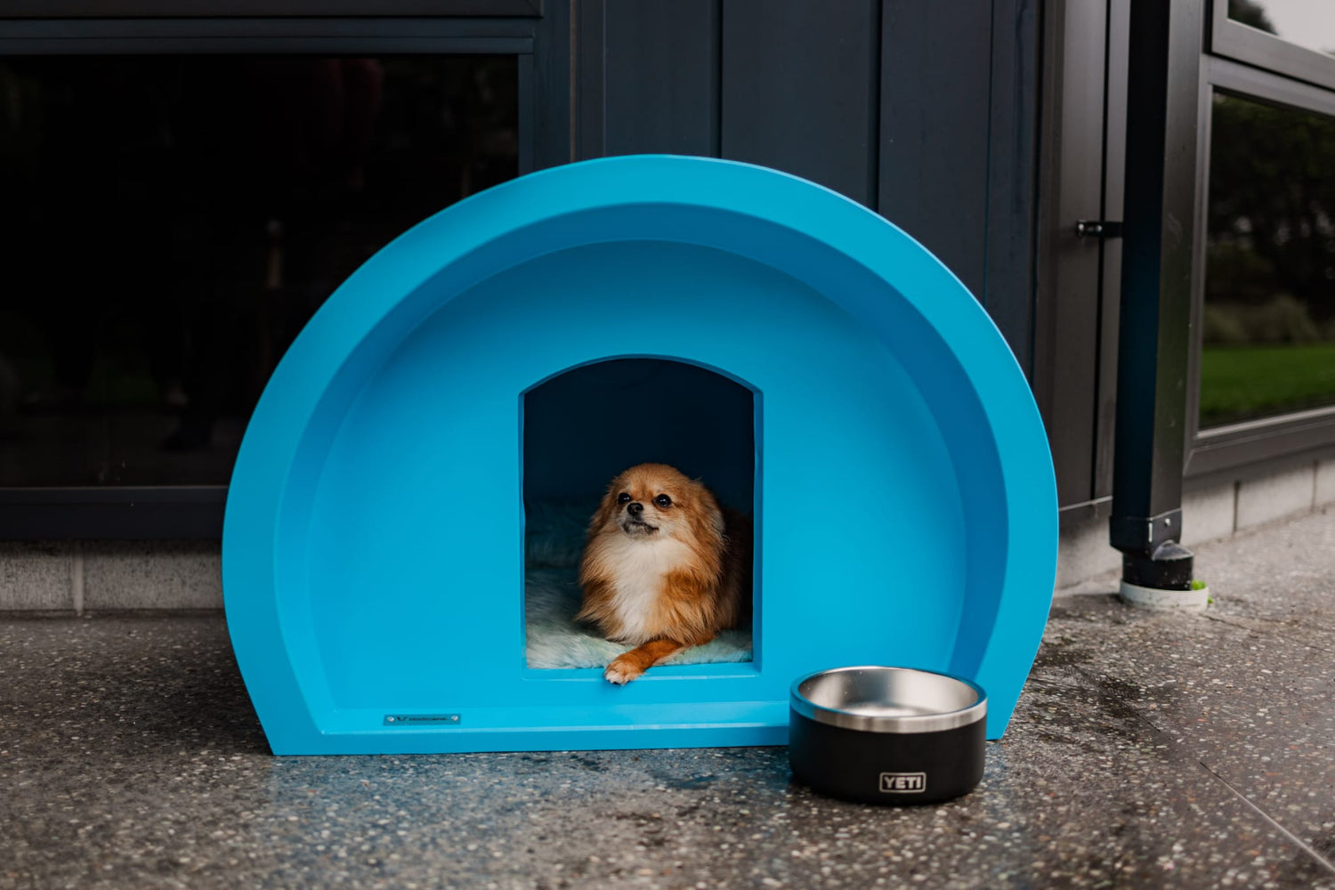 A small blue kennel with a Chihuahua dog in it.