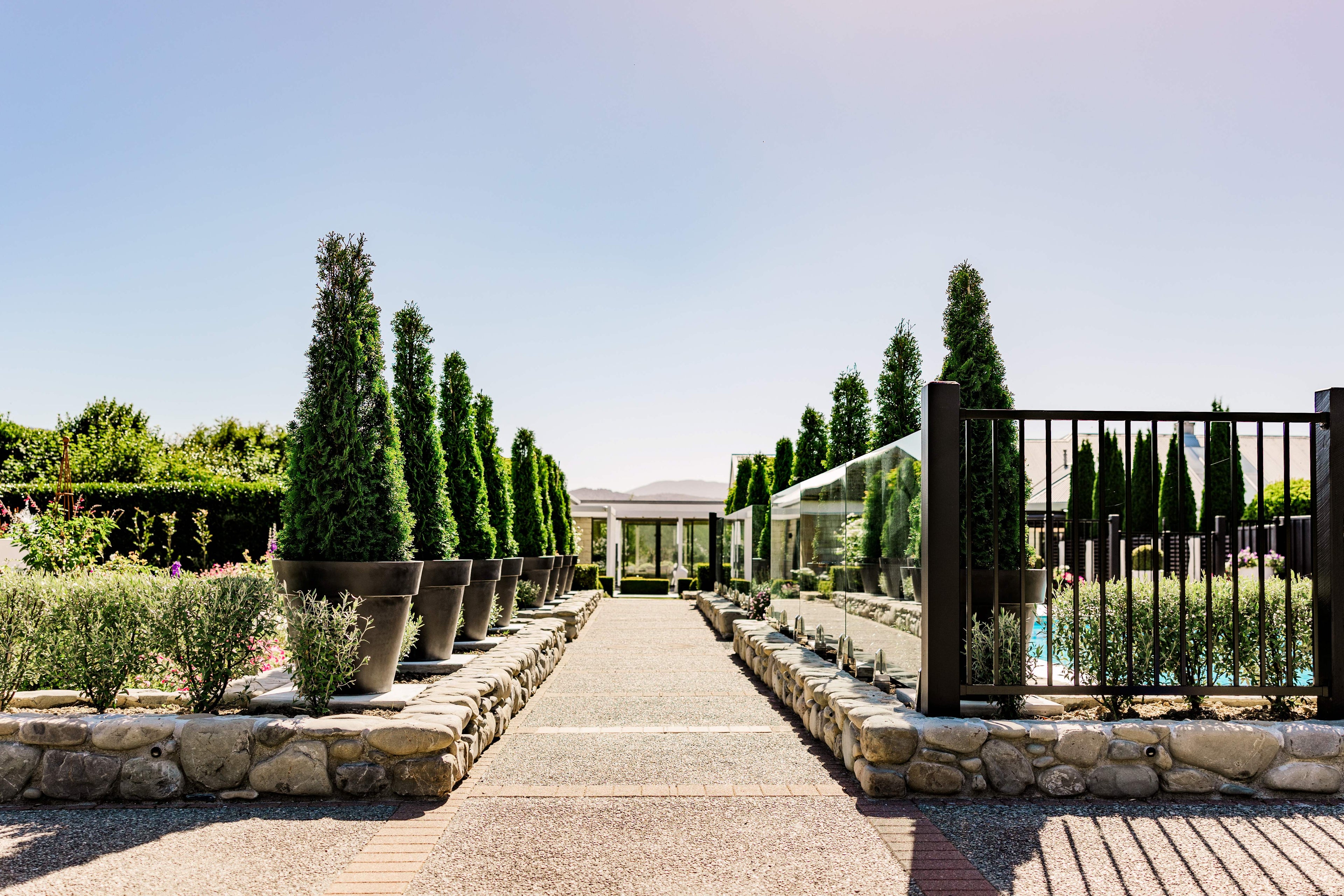 Row of potted trees along a pathway with a clear sky.