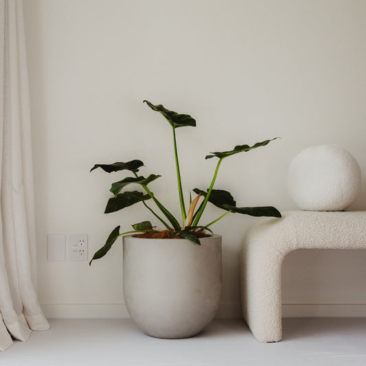 Lisbon 400 Planter. 40cm W x 40cm H.