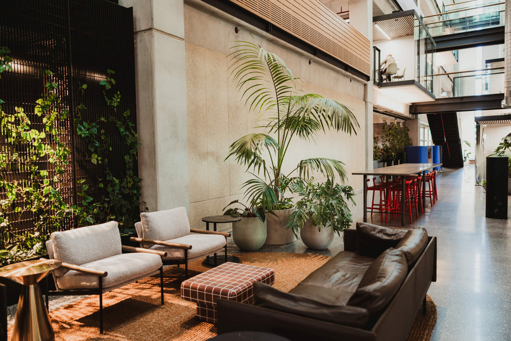 Modscene planters and greenery in a commercial interior