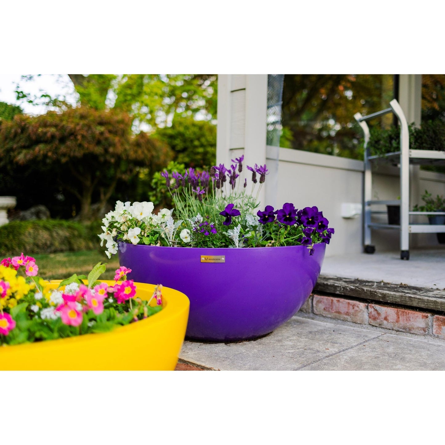 A purple Modscene planter bowl sits on the stairs of this garden house.