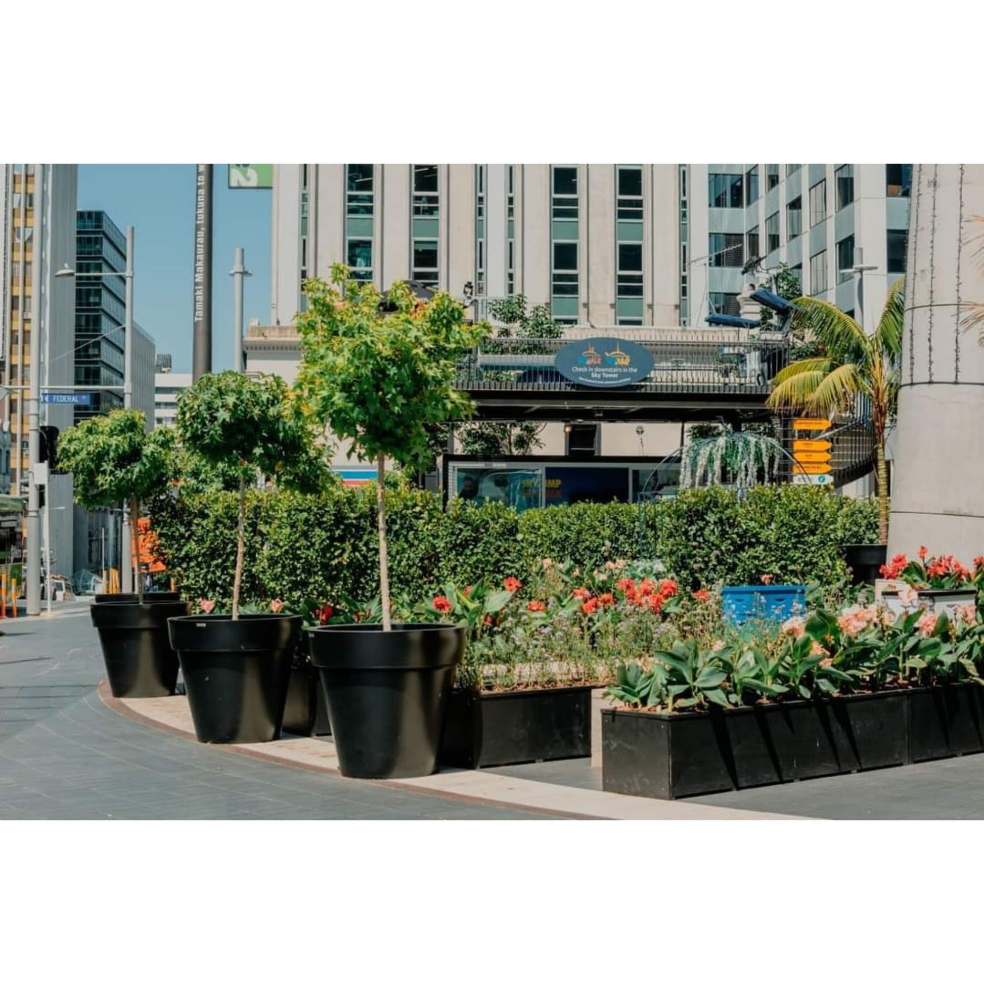 Large black planters in a public space. Modscene planters NZ.