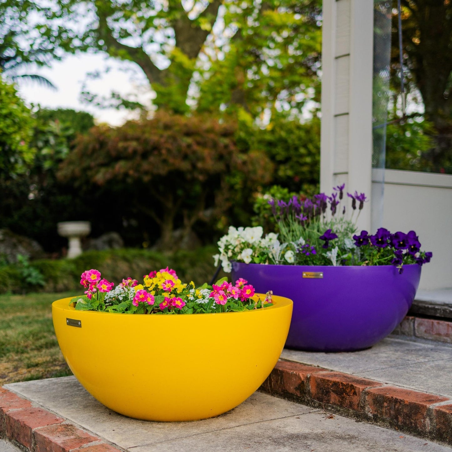 Large purple and yellow Modscene bowl planter pots on a nice brick staircase. The pots are plated with flowers for a colourful effect.