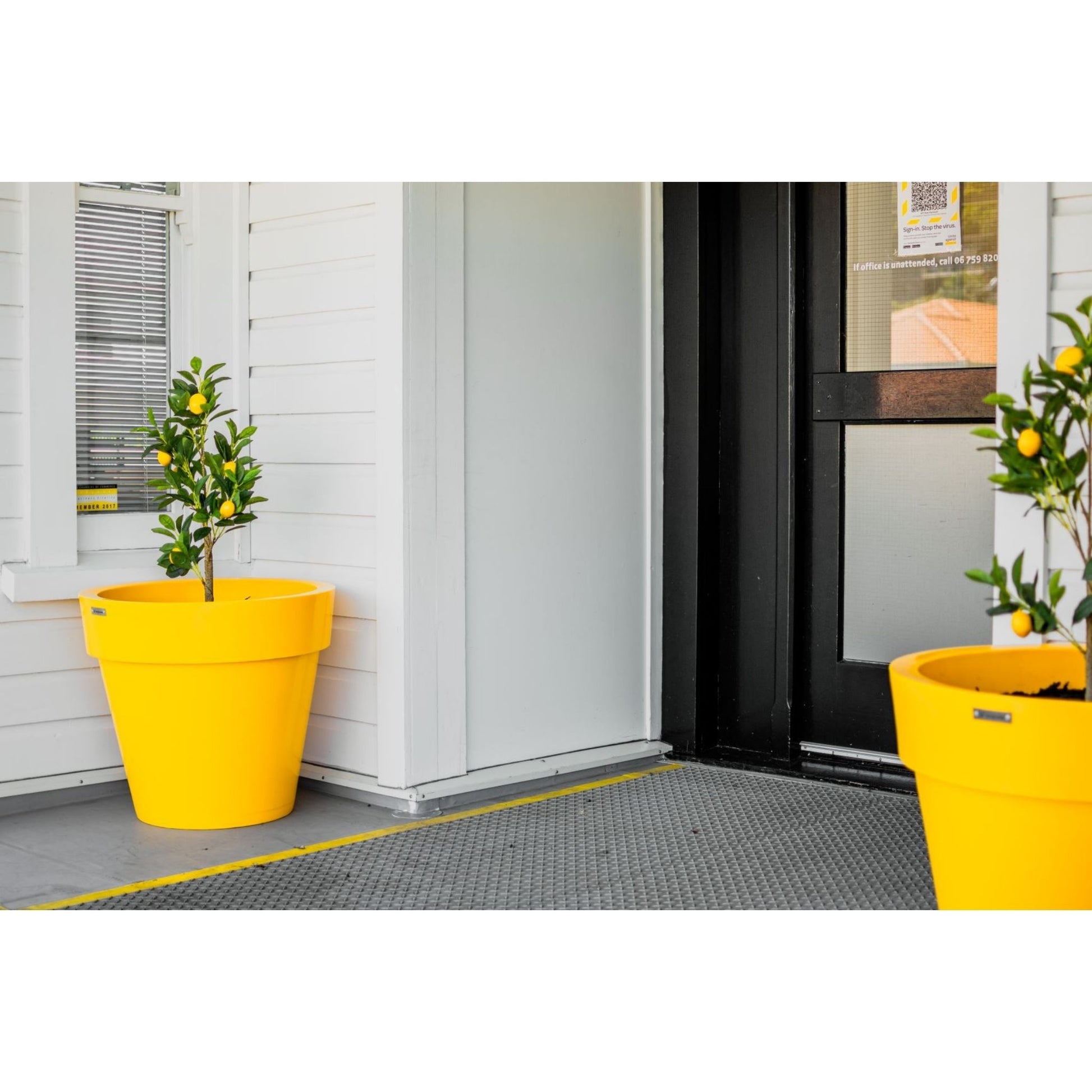 A villa entrance with two yellow planter pots by it. The pots have citrus trees planted in them.