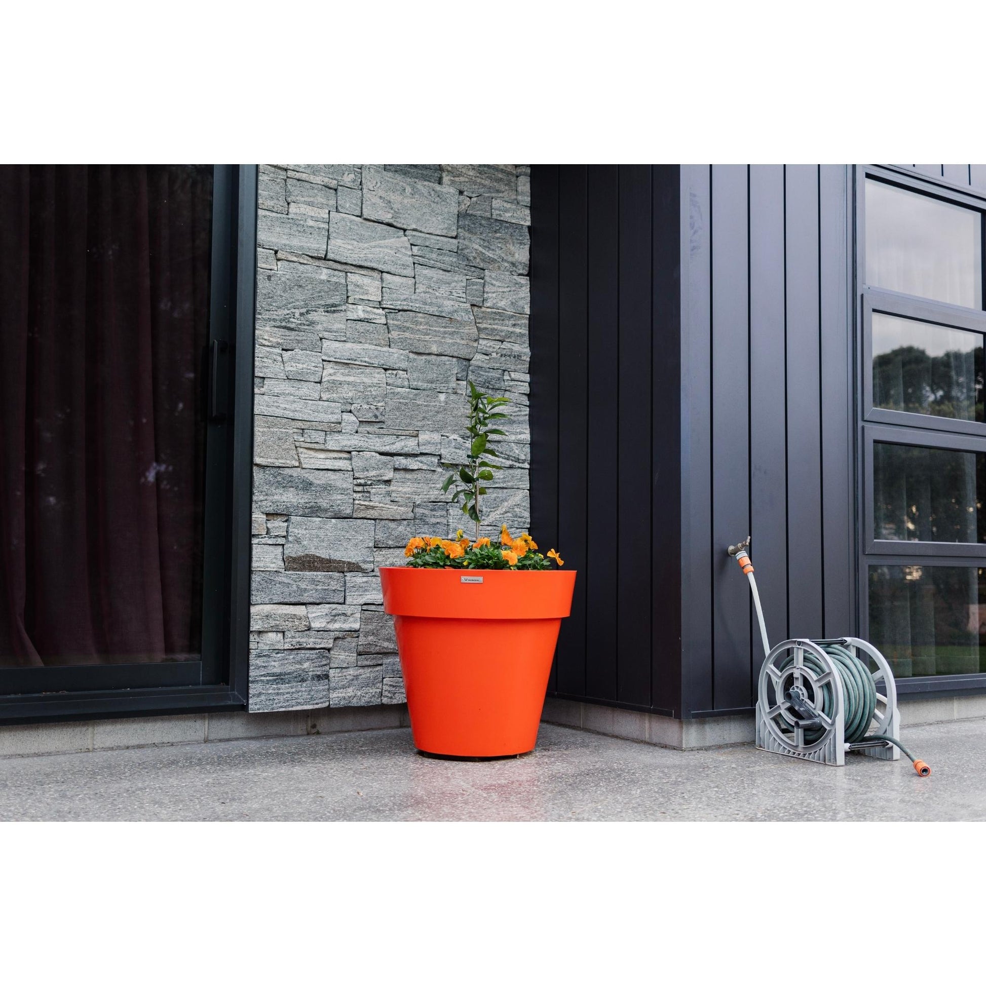 A large orange planter pot in front of a house wall. The pot is planted with a citrus tree and some flowers. 