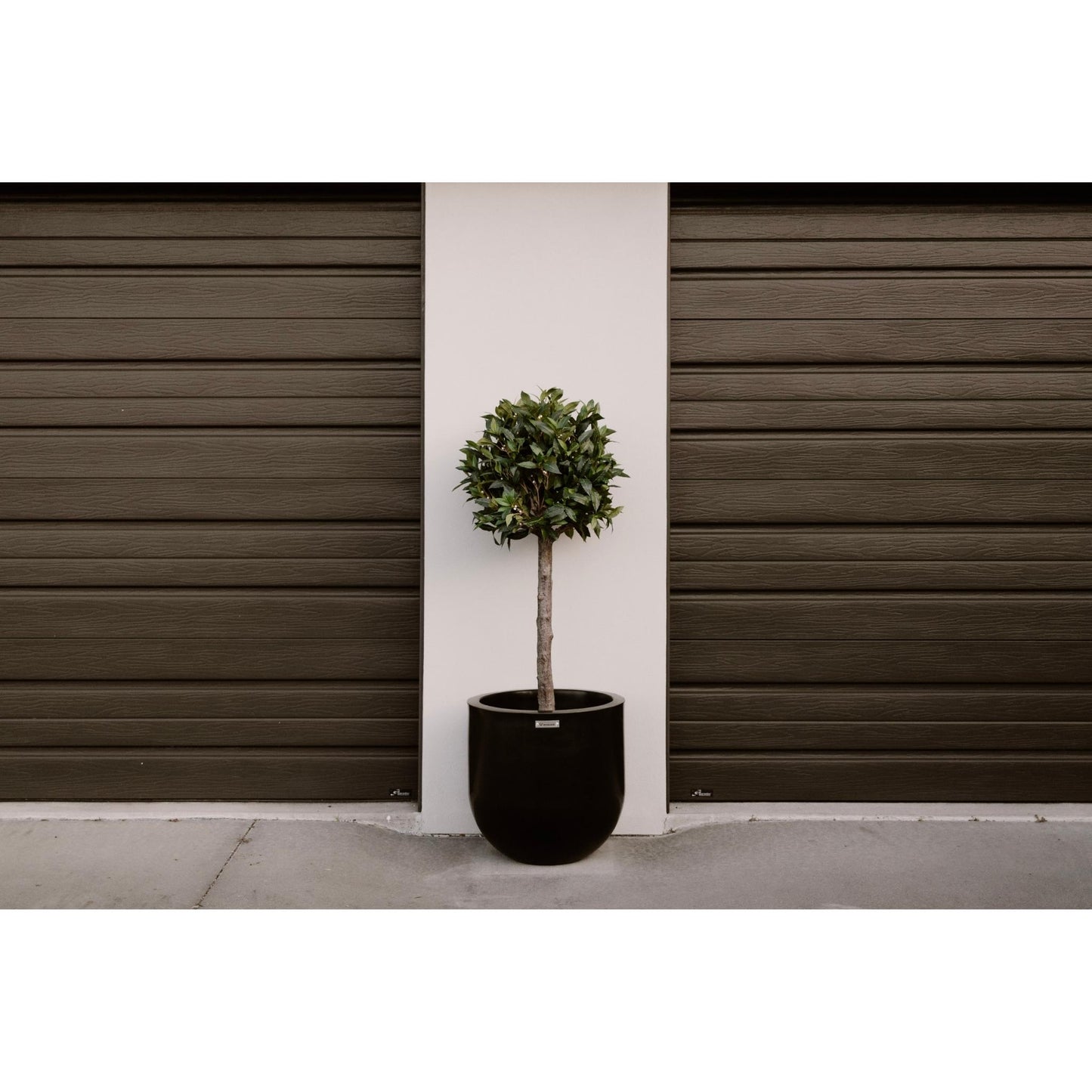 A black Modscene planter pot in front of a house. The planter pot is planted with a Bay Tree.