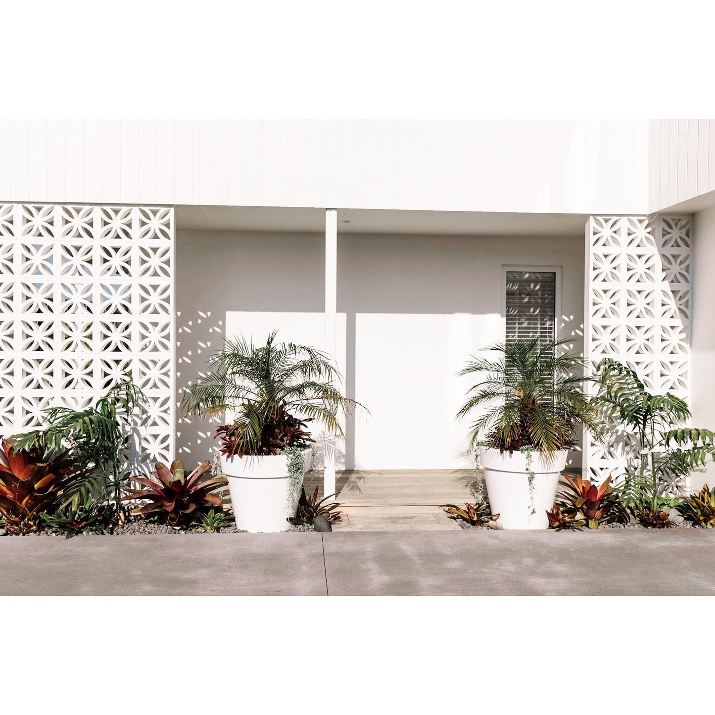 Large white Modscene planter pots in a tropical garden. The planters are planted with a palm tree.