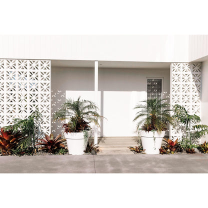 Large white Modscene planter pots in a tropical garden. The planters are planted with a palm tree.