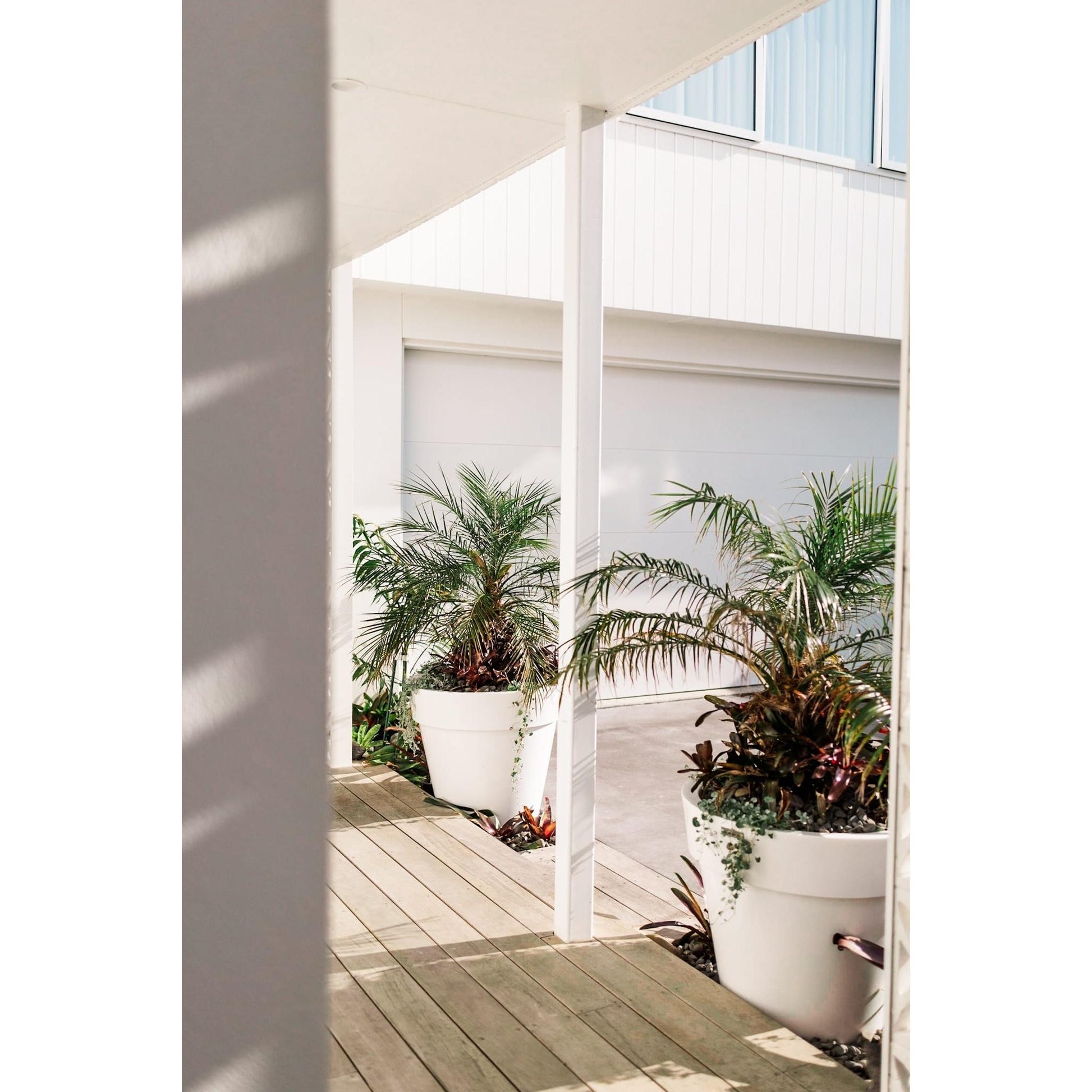 Large white Modscene planter pot in a tropical garden. The planter is planted with a palm tree.