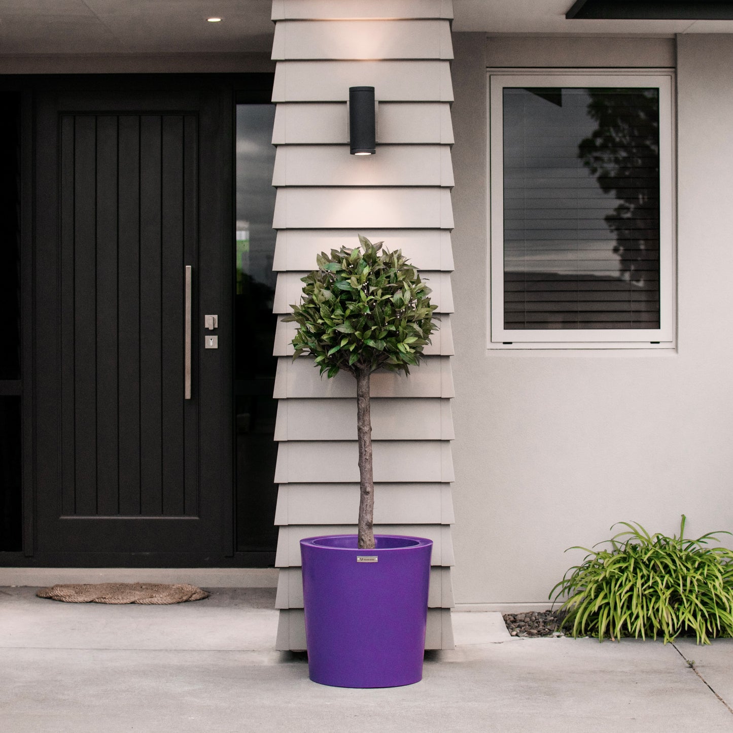 A purple Modscene planter pot in front of a house.