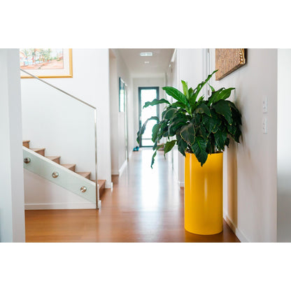 Large yellow Modscene planter pot in a hallway